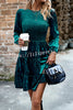 Elegant Velvet Round Neck Long Sleeve Mini Dress