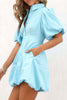 Celebrities Elegant Solid Printing Turndown Collar Shirt Dress Dresses
