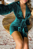 Velvet Deep V Tie Waist Mini Party Dress