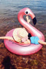 Flamingo Pool Float
