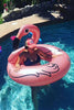 Flamingo Pool Float