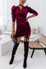 Velvet Drawstring Puff Sleeve Dress