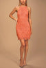 Halter Neck Lace Bodycon Dress
