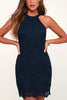 Halter Neck Lace Bodycon Dress