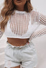 Sheer Logn Sleeve Crochet Crop Top