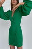 V Neck Puff Sleeve Slit Hem Mini Dress