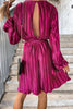 Elegant Solid Frenulum Fold V Neck Evening Dress Dresses(4 Colors)