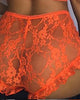 Crochet Lace Sheer Mesh Bandeau Bra Set