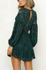 Lace V Neck Puff Sleeve Mini Dress