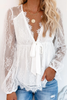 Sheer Lace V Neck Bow Tie Blouse
