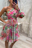 Vivid Visions Floral Print Pleated One Shoulder Sleeve Swing Mini Dress