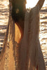 Raw Frayed Curning Cover Dress